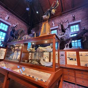 Toledo, Promedica Museum - Nature in Hand