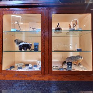 Toledo, Promedica Museum - Nature in Hand, various native species