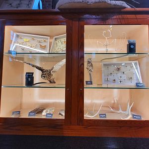 Toledo, Promedica Museum - Nature in Hand, various native species