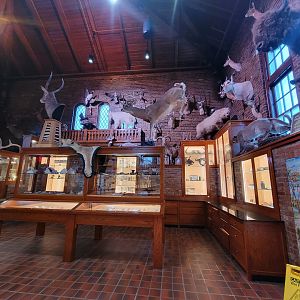 Toledo, Promedica Museum - Nature in Hand