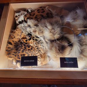 Toledo, Promedica Museum - Nature in Hand, pelts to touch