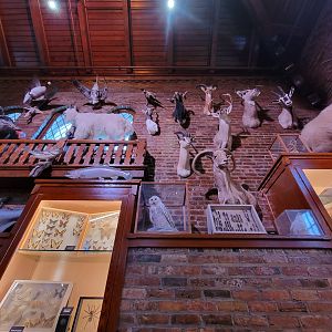 Toledo, Promedica Museum - Nature in Hand