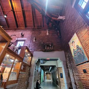 Toledo, Promedica Museum - Nature in Hand