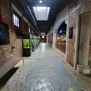 Toledo, Promedica Museum - Amphibian hallway