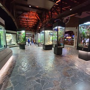 Toledo, Promedica Museum - Hall of Venom