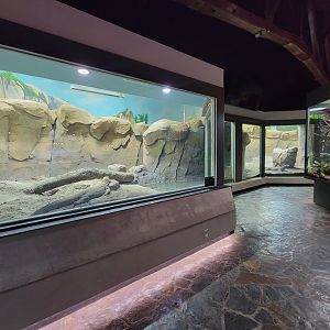 Toledo, Promedica Museum - Hall of Venom, Komodo dragons