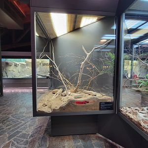 Toledo, Promedica Museum - Hall of Venom, Gila monster