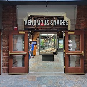 Toledo, Promedica Museum - Venomous Snakes room