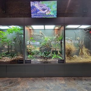 Toledo, Promedica Museum - Venomous Snakes, row of exhibits