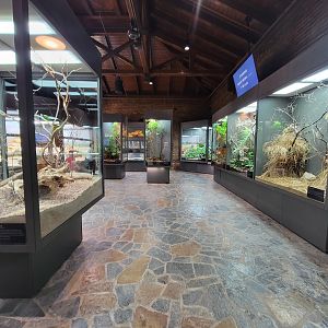 Toledo, Promedica Museum - Venomous Snakes, right side of room