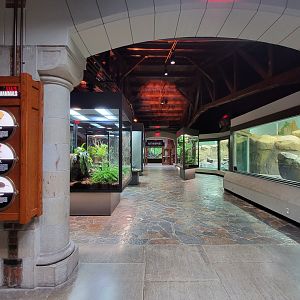 Toledo, Promedica Museum - Hall of Venom from Venomous Snakes room