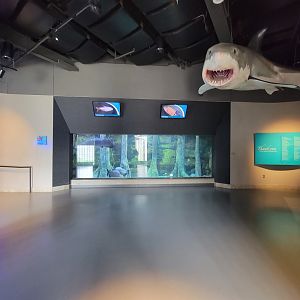 Toledo, Aquarium - Inside entrance