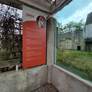 Toledo - Dingo sign... I'm pretty sure there aren't dingos in India or Vietnam?