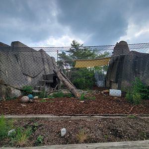 Toledo - Tiger Terrace