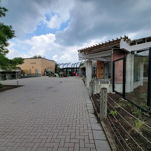 Toledo - Tiger Terrace / Kodiak Ridge