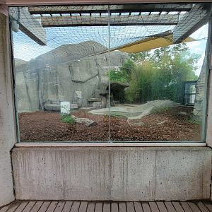 Toledo - Tiger Terrace