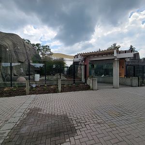 Toledo - Tiger Terrace