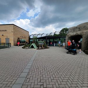 Toledo - Kodiak Ridge