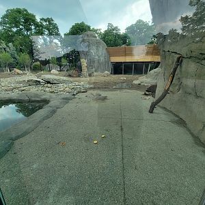 Toledo - Kodiak Ridge