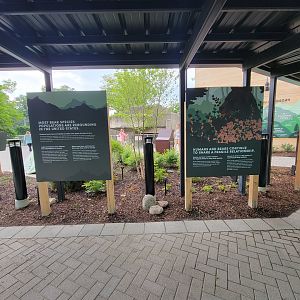 Toledo - Kodiak Ridge