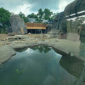 Toledo - Kodiak Ridge