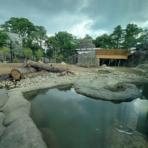 Toledo - Kodiak Ridge