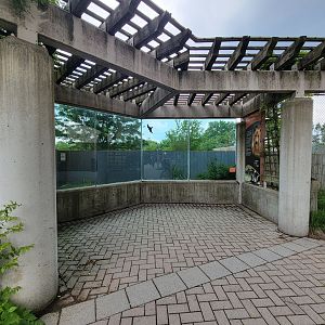 Toledo - 2nd dingo yard