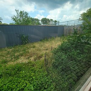 Toledo - 2nd dingo yard