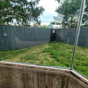 Toledo - 2nd dingo yard