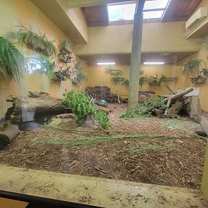 Toledo - Tembo Trail, Tasmanian devils