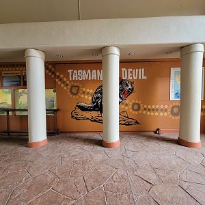 Toledo - Tembo Trail, Tasmanian devils