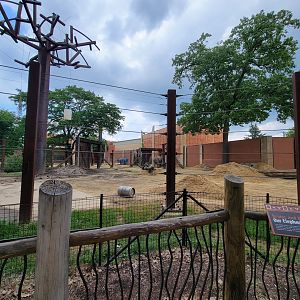 Toledo - Tembo Trail, African elephants