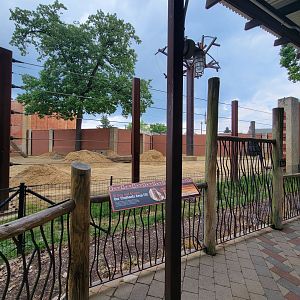 Toledo - Tembo Trail, African elephants