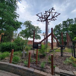 Toledo - Tembo Trail, African elephants