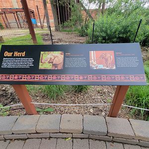 Toledo - Tembo Trail, African elephants, "Our Herd" sign