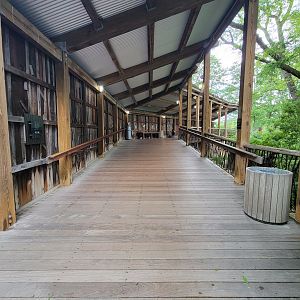 Toledo - Tembo Trail, path