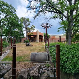 Toledo - Tembo Trail, African elephants