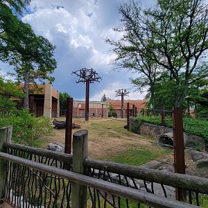 Toledo - Tembo Trail, African elephants