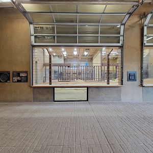 Toledo - Tembo Trail, African elephants indoor viewing