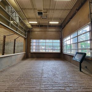Toledo - Tembo Trail, African elephants indoor viewing