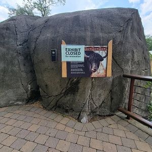 Toledo - Tembo Trail, no yaks