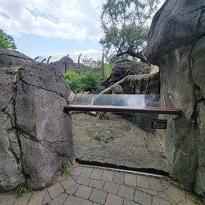 Toledo - Tembo Trail, Meerkat viewing spot