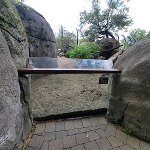 Toledo - Tembo Trail, Meerkat viewing spot