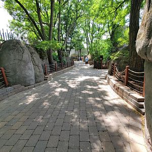 Toledo - Tembo Trail, path