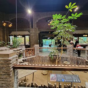 Toledo - Reptile House, Inside entrance