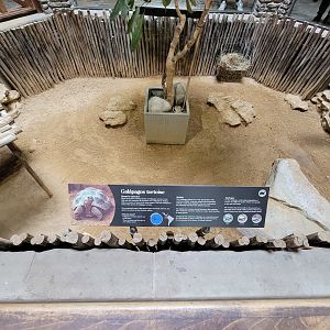 Toledo - Reptile House, Galapagos tortoises (unseen, clearly)