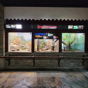 Toledo - Reptile House, Left wall of left side