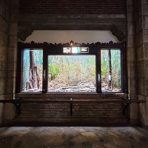 Toledo - Reptile House, King cobra