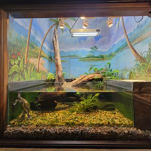 Toledo - Reptile House, Roti Island snake-necked turtle