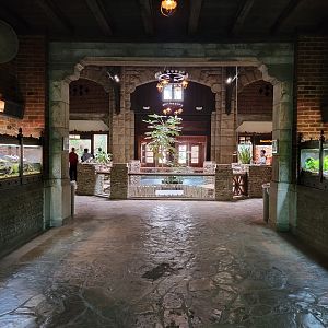 Toledo - Reptile House, Looking back at main area from saltwater croc